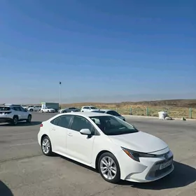 Toyota Corolla 2020