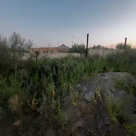 zaton daca