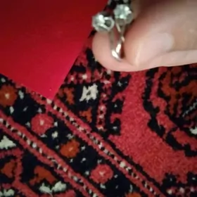 Kümüş gulakalka