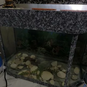 Akwarium 75 liter