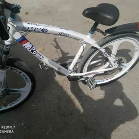 BMW tigir