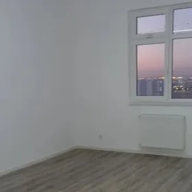 Taze mir8 4kom