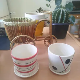кашпо,корзины,кактус