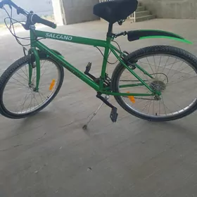 Yasyl turkmenistan tigir