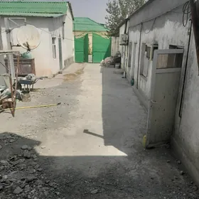 Çogany satlyk pylan jay