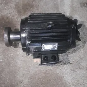 Elektor motor