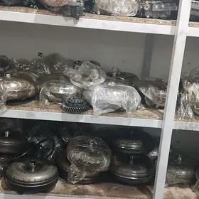 mora toyota gazan mazgylar