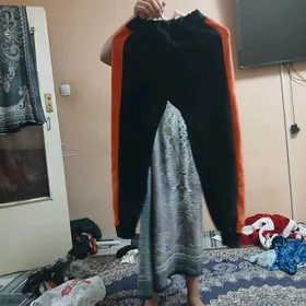 спартивка