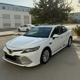 Toyota Camry 2020
