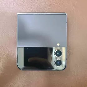 Z Flip 4