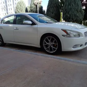 Nissan Maxima 2010
