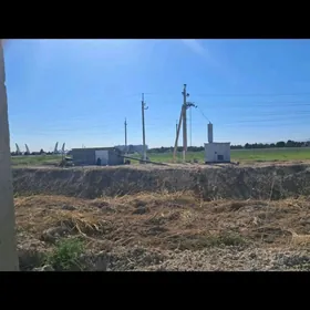 Taze zaman