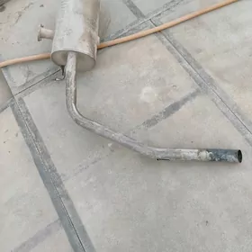 Gulsitel bocogy