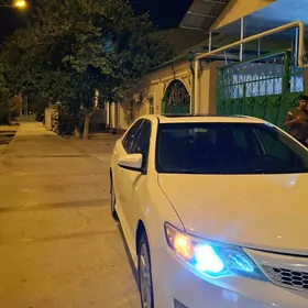 Toyota Camry 2014