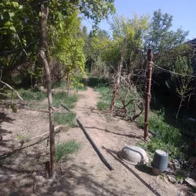 Дача  Daça