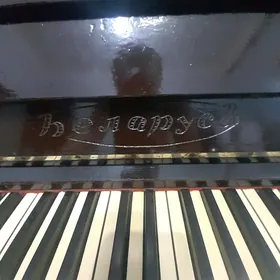 Pionina