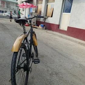 TÜRKMENİSTAN tigir 