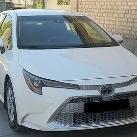 Toyota Corolla 2020