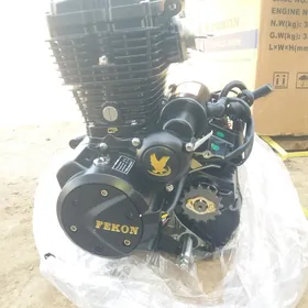Gp fekon 150 paket alnan