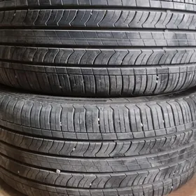225 45 17 NEXEN
