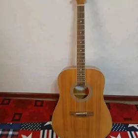 gitara100