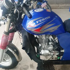Fekon FK200-14G 2015