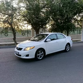 Toyota Corolla 2009