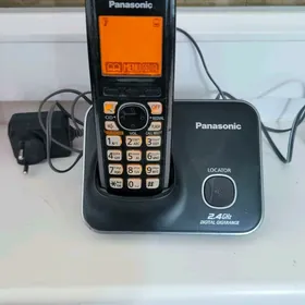 Panasonic 2,4GHz