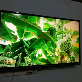 Telewizor
