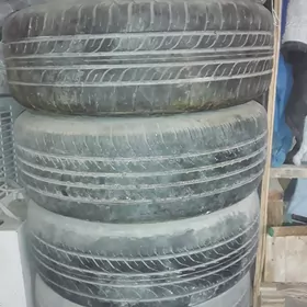 ayak