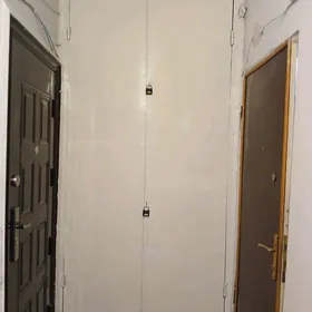 Mir 2