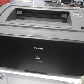 canon 2900 1В1 printer