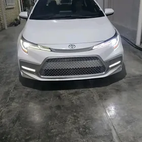 Toyota Corolla 2020
