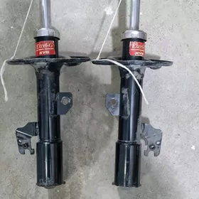 Amasator avalon