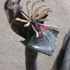 kabel