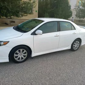 Toyota Corolla 2013