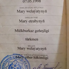 Prava yitdi