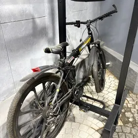 Tigir,bmw