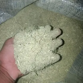 Yandak