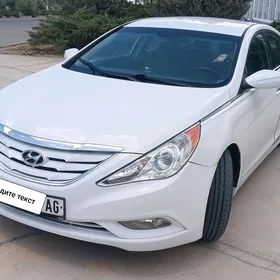 Hyundai Sonata 2010