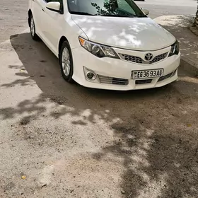 Toyota Camry 2013