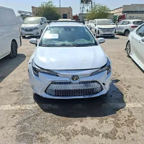 Toyota Corolla 2020