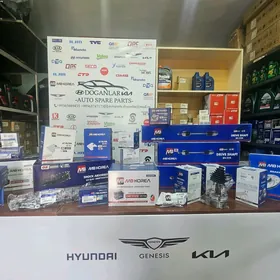 Hyundai kia awtosaylary