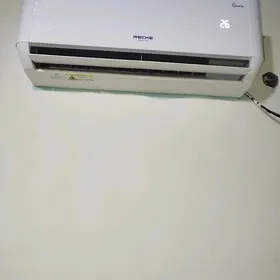 RECKE pes tokdada isleya