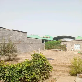 Bagyr satlyk jay