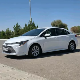 Toyota Corolla 2021