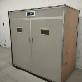 inkubator