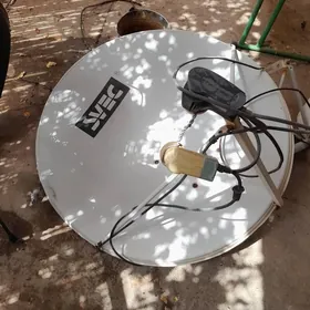 Antena uly kici