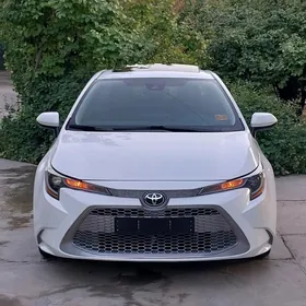 Toyota Corolla 2021