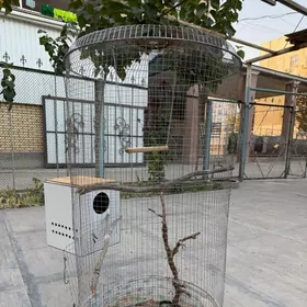 клетка для попугаев